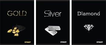 Zvezek Treasures A4 mali karo A4 4993