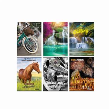 Zvezek Young A4 črte z robom 80 listni A4 5000