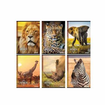 Zvezek Street Africa A4 mali karo A4 5043