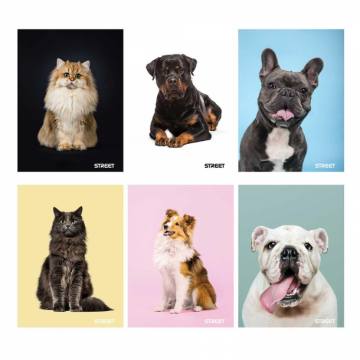 Zvezek Street Friends A4 mali karo A4 9159